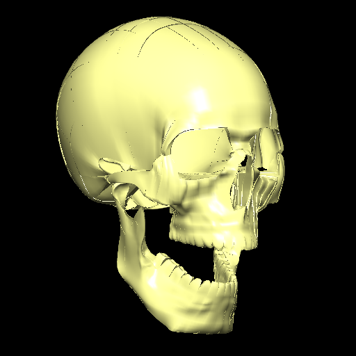 Animation of the jaw model. - OpenCMISS Examples