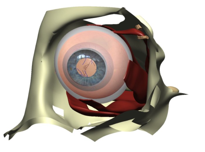 An image of the eye model.