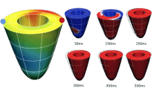 Image of a visualisation created with OpenCMISS-Iron.